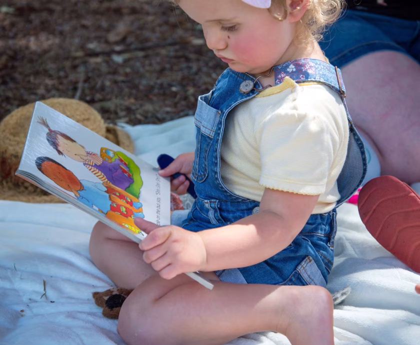 image – bimodal bilingual approach