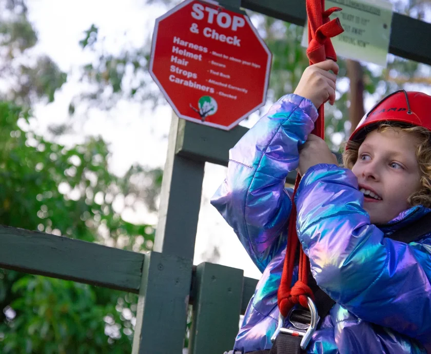 image – parents with lived experience