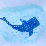 Mikayla Mooney WHALE SHARK (NSW)